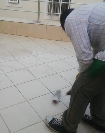 Clear polyurethane waterproofing coating